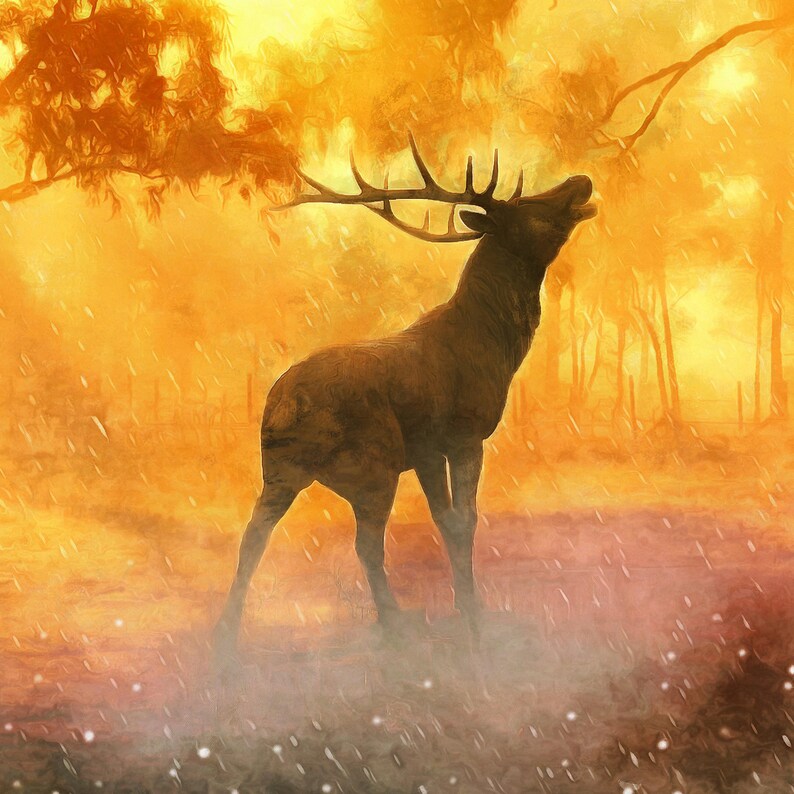 Deer In The Magical Forest Canvas Large Art painting Deer Etsy