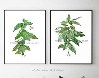 Set of 2  Prints Watercolor Painting, Euonymus Latifolius, Lilly of the Valey, Home Decor Botanical Art Wall Decor, Print Wall Art Print Set