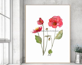 Watercolor Flower, Watercolor Painting, Anemone Art, Flower Watercolor, Printable Poster , Floral Decor Painting Flower Botanical Print .