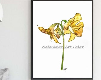 Watercolour Flower Botanical Art Print, Amarilis Flower, Gift for Her, Wall Decor Housewarming, Romantic Art Spring Decor Watercolor Flower.