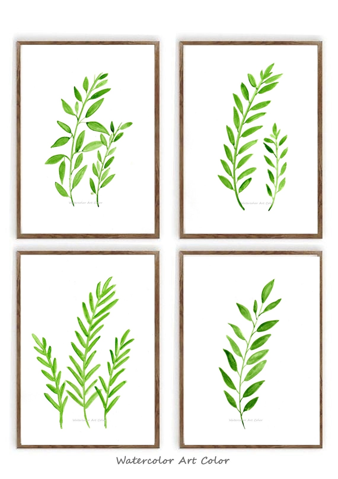 Posters D'art à L'aquarelle - Feuilles De Plantes - Décoration Murale Minimaliste Et Contemporaine