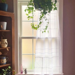 May include: A sheer white window curtain with a horizontal grid pattern hanging over a window. A green ivy plant in a black hanging pot is suspended in front of the window, partially obscuring the view through the glass panes.