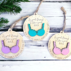 Friend ornament, friend bra ornament, friendship ornament, friend Christmas gift