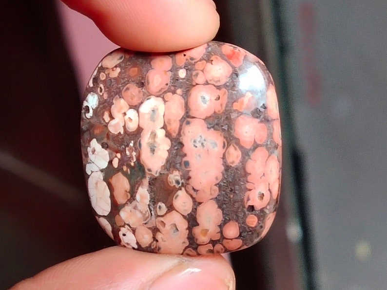33.75 Cts Natural 28x26x5 Leopard Skin Jasper Loose Gemstone Square Shape Cabochons For Jewelry Making, MM....Uk-595.