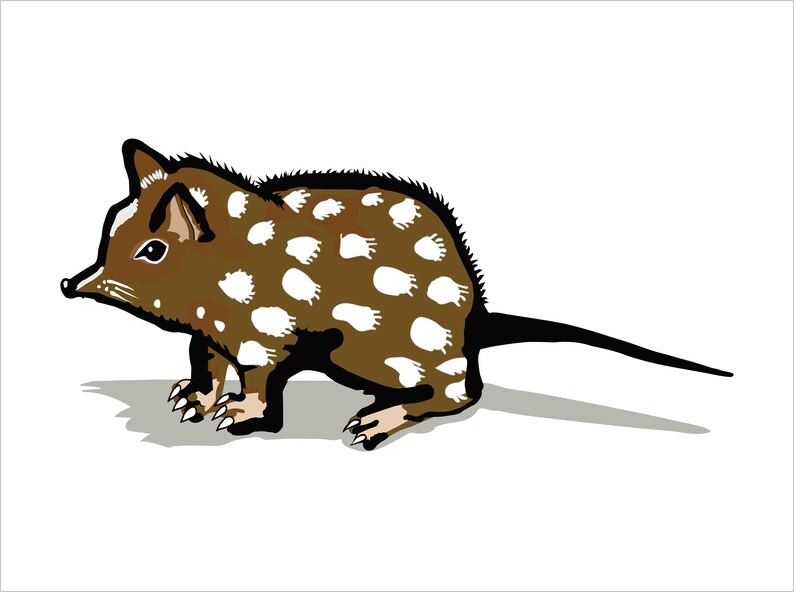 Download Vector Art Illustration Quoll Australian Animal Resizable | Etsy