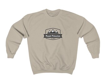 princeton sweatshirt