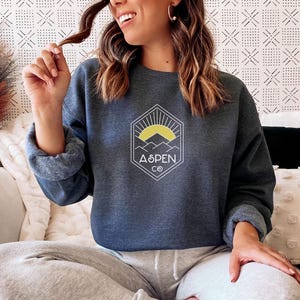 May include: A dark blue sweatshirt with a white graphic of a mountain range and a sun with the text "Aspen Co."