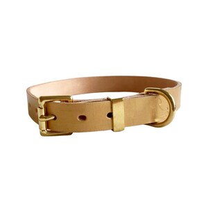 Gold Leder Hundehalsband | handgemachte | handbemalt | massive Messingbeschläge | kostenloser Versand in Großbritannien