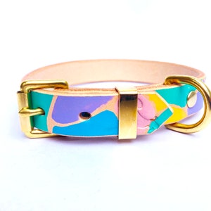 Handmade leather dog collar, colourful collar, 70s, retro, hand painted, vegetable tanned leather, solid brass fittings