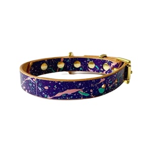 Handmade leather dog collar | Purple with pink, turquoise and lilac splatter design | Solid brass fittings | Matching lead available