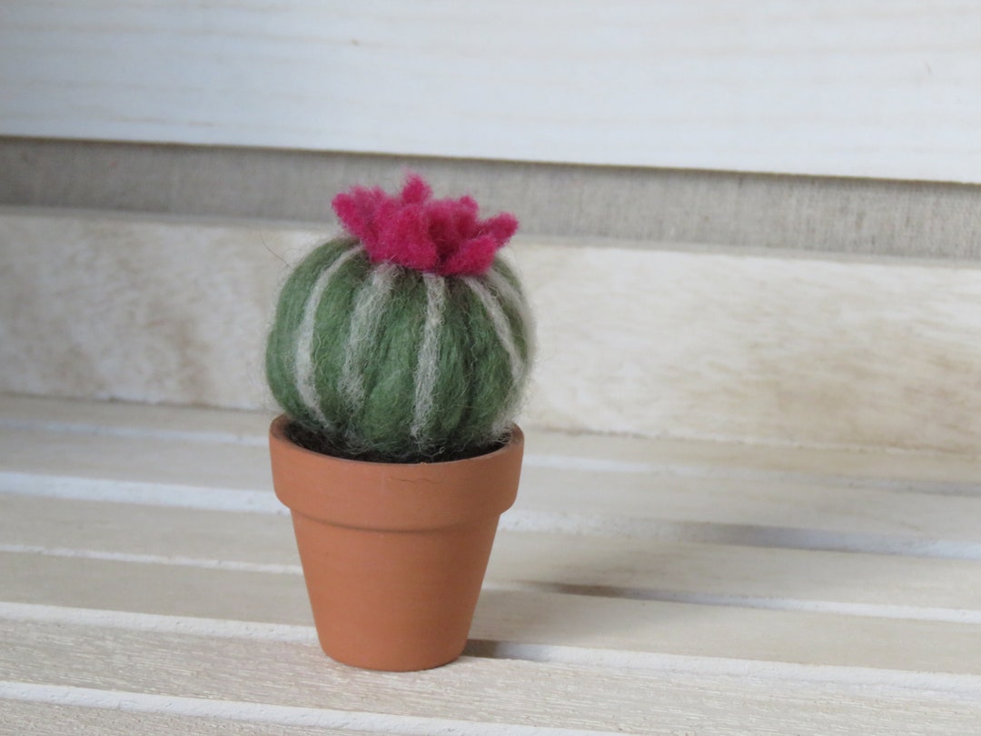 Needle Felt Cactus Etsy