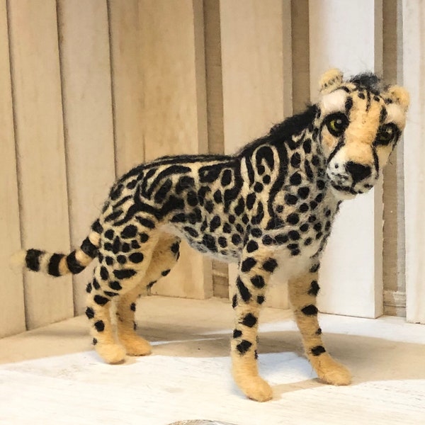Nadelfilz König Cheetah