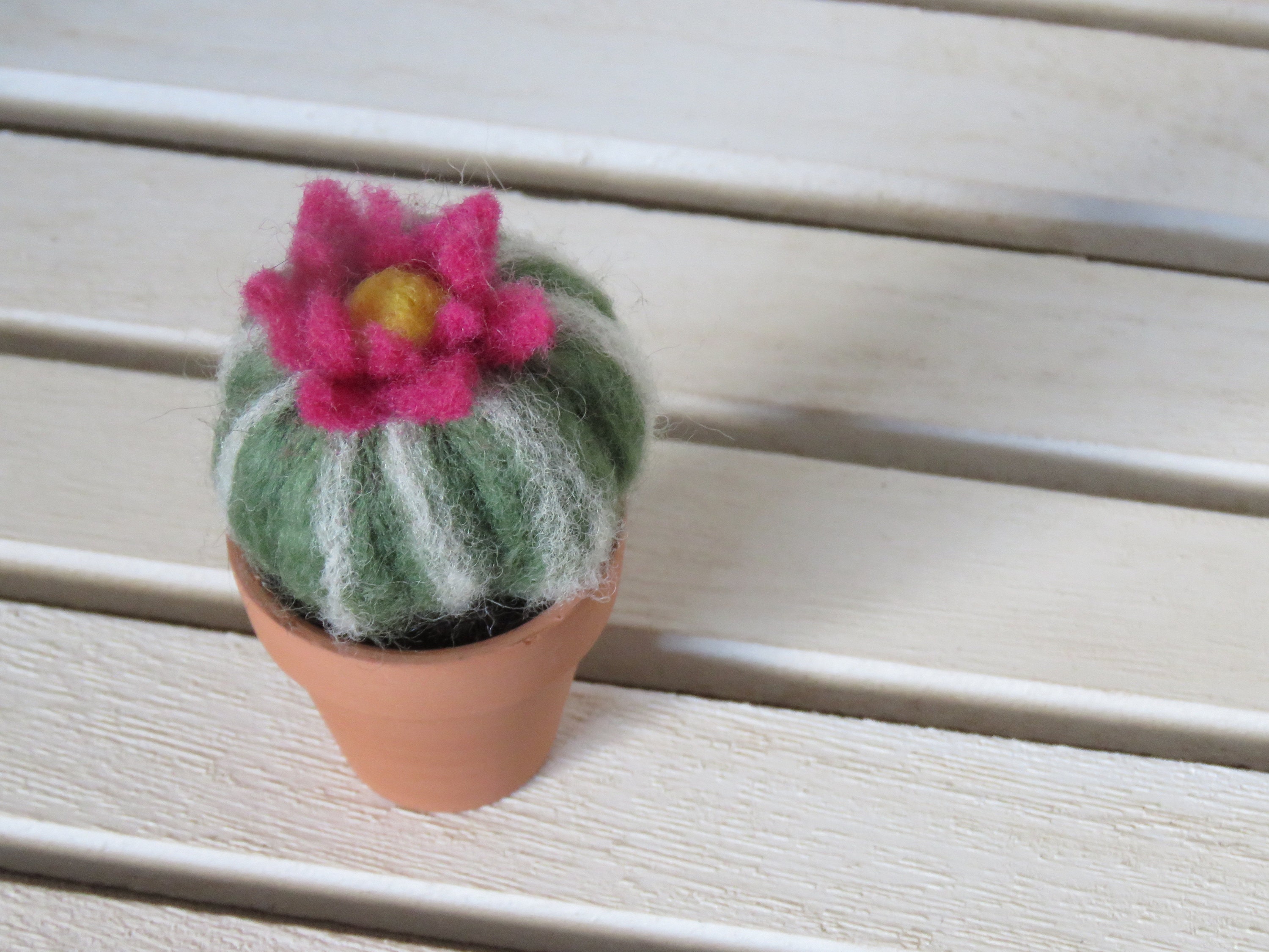 Needle Felt Cactus Etsy