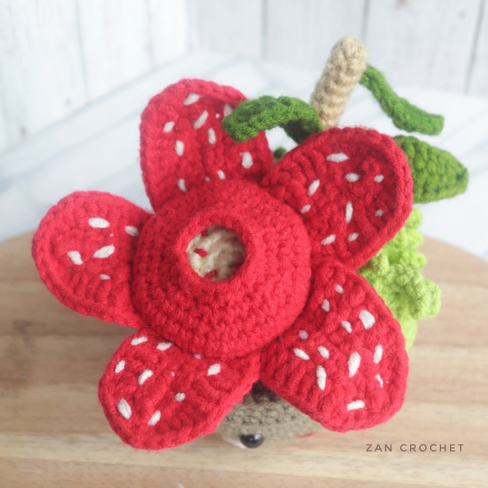 Pattern Rassefia Flowe Crochet Rafflesia Flower Pattern: Amigurumi Plant in Pot (PDF Pattern ...