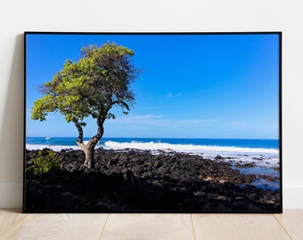 Standalone Tree along the Kona Coast on Big Island, Hawaii Photography, Wanderlust Decor, Print, Wall Art, Digital Download, Hawaiian, Beach