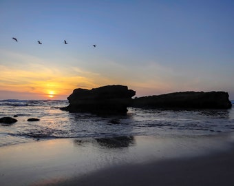 Sunset at La Jolla Cove, San Diego, California Beach Art, Photography, Print, Wanderlust Decor, Birds, Beach, Home Decor, Wall Art, Giclee