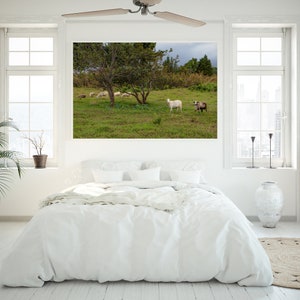 Goats on the Big Island, Hawaii Photography, Art, Farmhouse Decor, Farm Animals, Printable Wall Art, Goat Print, Digital Download image 6