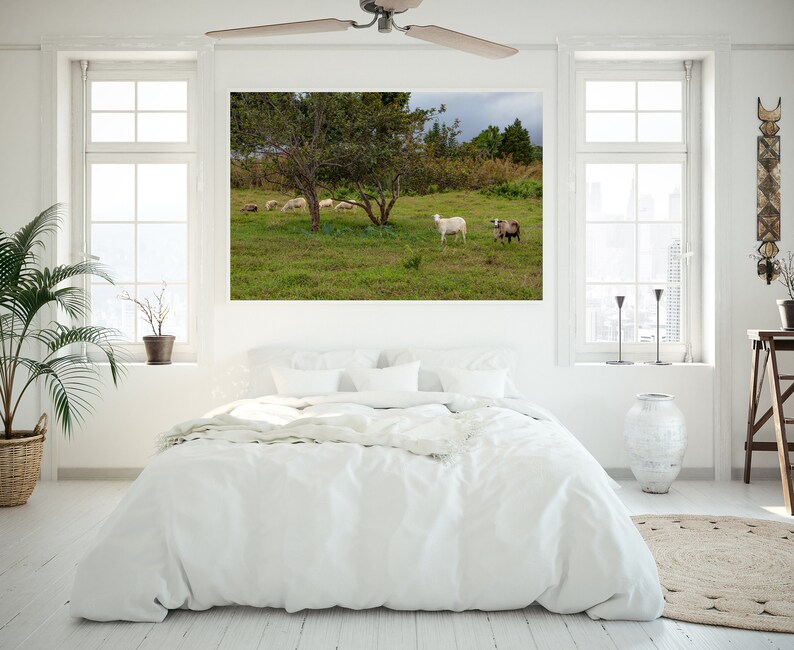 Goats on the Big Island, Hawaii Photography, Art, Farmhouse Decor, Farm Animals, Printable Wall Art, Goat Print, Digital Download image 6