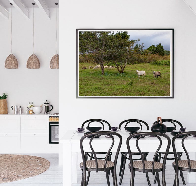 Goats on the Big Island, Hawaii Photography, Art, Farmhouse Decor, Farm Animals, Printable Wall Art, Goat Print, Digital Download image 7