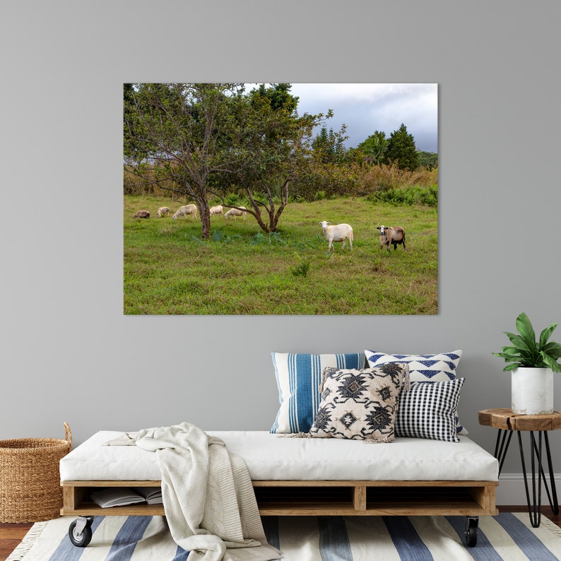 Goats on the Big Island, Hawaii Photography, Art, Farmhouse Decor, Farm Animals, Printable Wall Art, Goat Print, Digital Download image 4