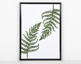 Watercolour Fern Print | Fern Leaf Print | Fern Wall Art | Fern Poster | Living Room Print | Tropical Leaf Print | Botanical Kitchen Print