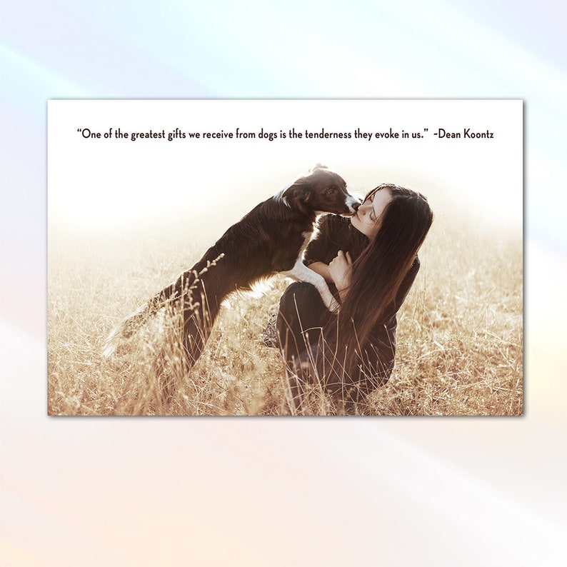 Printable Postcards Canine Zen Dog Postcards Funny Dog Postcards Dog