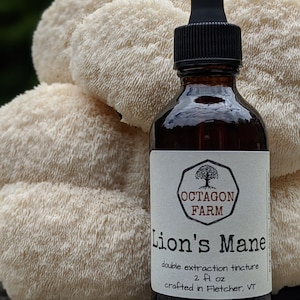 Lion's Mane Tincture double extraction Vermont mushroom natural medicinal dual extract supplement herbal fungus tea powder free shipping image 1