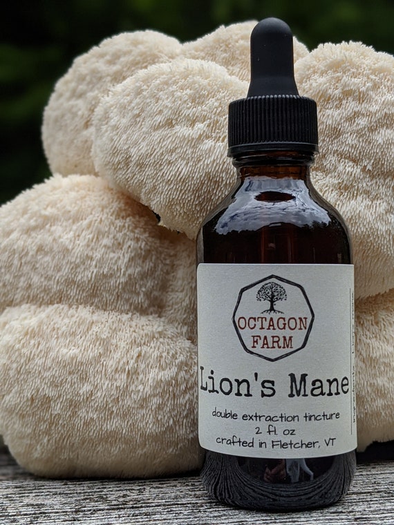 Lion's Mane Tincture double extraction Vermont mushroom natural medicinal dual extract supplement herbal fungus tea powder free shipping