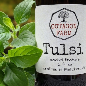 Tulsi Tinktur Auszug heiliges Basilikum natürliche Kräuterergänzung medizinische Ayurveda-Teepulver versandkostenfrei