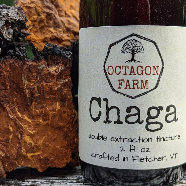 Chaga Tincture double extraction wild harvested fungus extract medicinal mushroom herbal immune supplement natural detoxify body balance