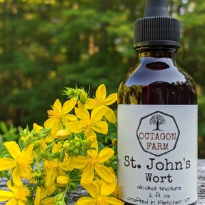 Può includere: Una bottiglia di vetro scuro con un contagocce nero, etichettata "OCTAGON FARM St. John's Wort alcohol tincture 2 fl. oz crafted in Fletcher, VT". La bottiglia è appoggiata su una superficie di legno con fiori gialli in primo piano.