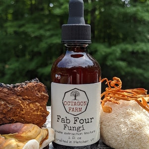 Puede incluir: Una botella de vidrio marrón con un cuentagotas negro, etiquetada como "Fab Four Fungi" por Octagon Farm. La etiqueta incluye el texto "double extraction tincture" y "2 fl oz". La botella está rodeada de varios tipos de hongos, con un fondo verde borroso.