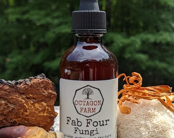 Reishi/Chaga/Lion's Mane/Cordyceps Tincture double extraction medicinal mushroom blend fungus herbal supplement extract natural free ship