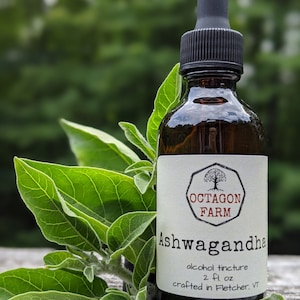 Tintura de ashwagandha, extracto de raíz, suplemento herbal natural, ginseng medicinal indio, ayurvédico, estrés, sueño, envío gratis