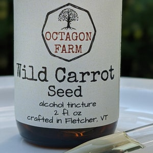 Pu&ograve; includere: Una bottiglia di vetro con un'etichetta bianca che recita "OCTAGON FARM Wild Carrot Seed alcohol tincture 2 fl. oz crafted in Fletcher, VT". La bottiglia &egrave; piena di un liquido scuro e ha un contagocce.
