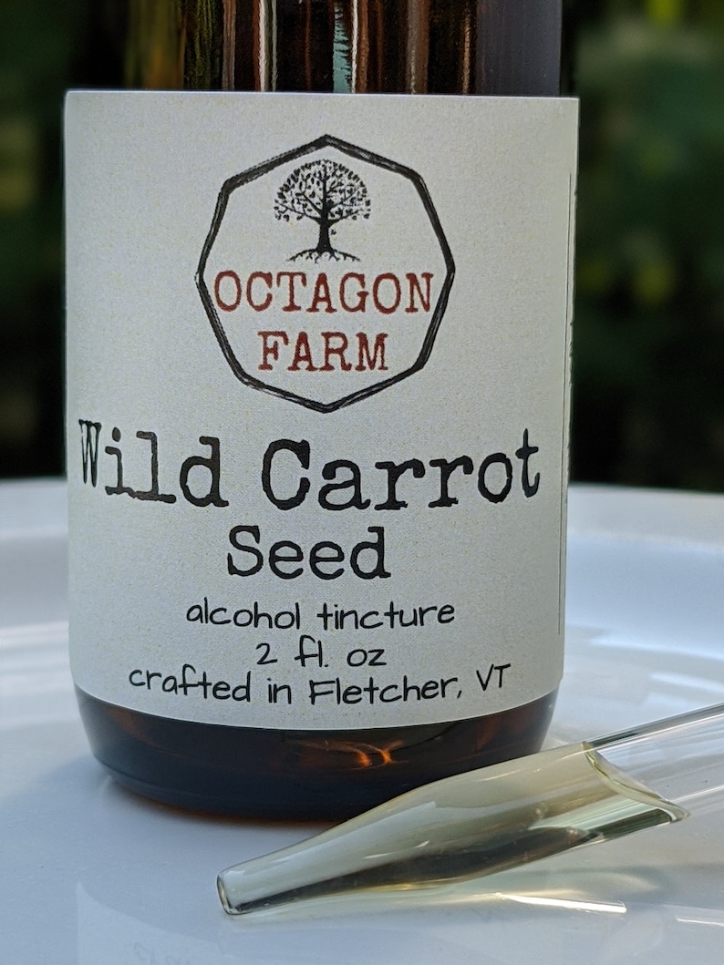 Pu&ograve; includere: Una bottiglia di vetro con un'etichetta bianca che recita "OCTAGON FARM Wild Carrot Seed alcohol tincture 2 fl. oz crafted in Fletcher, VT". La bottiglia &egrave; piena di un liquido scuro e ha un contagocce.