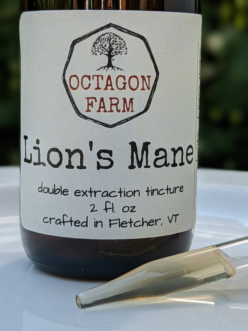 Lion's Mane Tincture double extraction Vermont mushroom natural medicinal dual extract supplement herbal fungus tea powder free shipping image 3