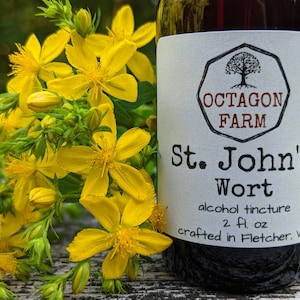 St. John&#39;s Wort Tincture extract Vermont natural herb medicinal supplement herbal sleep free shipping