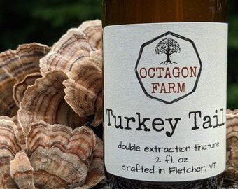 Turkey Tail Tincture double extraction immune mushroom herbal natural supplement extract fungus antioxidant antiviral wild harvested