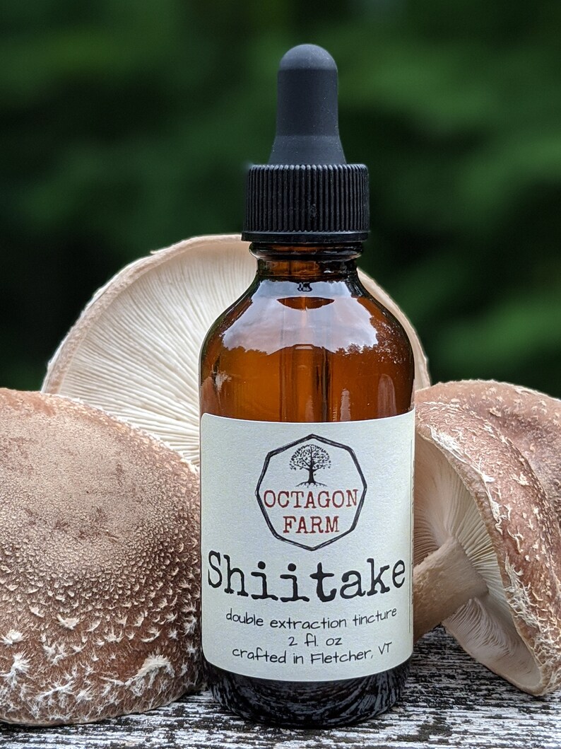 Shiitake Tincture double extraction mushroom natural vitamin D Etsy
