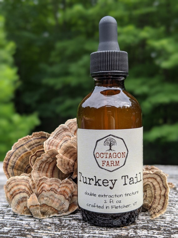 Turkey Tail Tincture double extraction mushroom herbal natural supplement extract fungus wild harvested tea powder free shipping