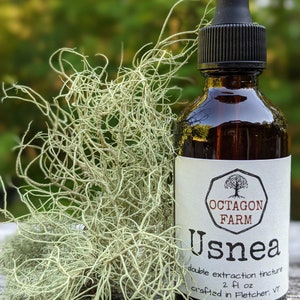 Può includere: Una bottiglia di vetro marrone con un contagocce, etichettata "Octagon Farm Usnea double extraction tincture 2 fl oz crafted in Fletcher, VT". La bottiglia è appoggiata su una superficie di legno accanto a un ciuffo di lichene verde chiaro.