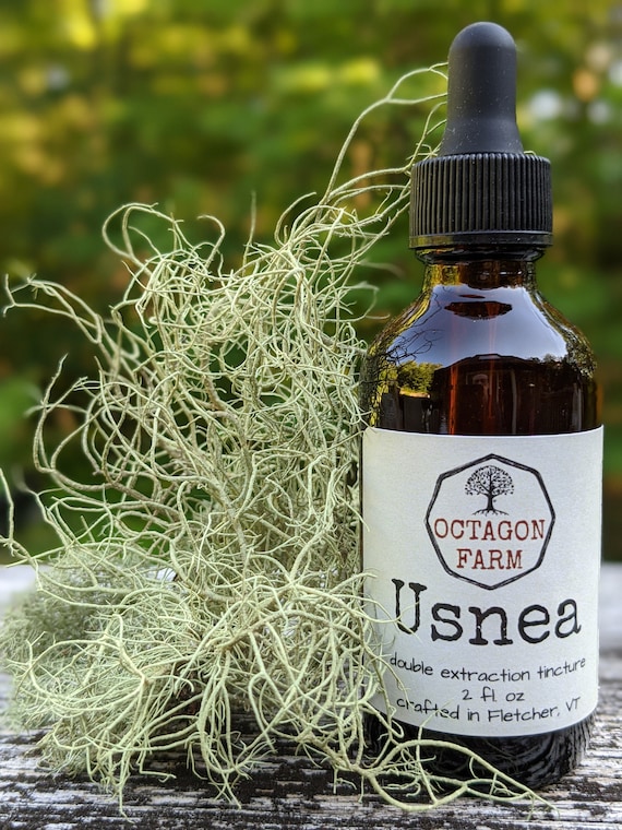Usnea Tincture lichen Vermont medicinal natural extract herbal tea fungus old man's beard powder free shipping