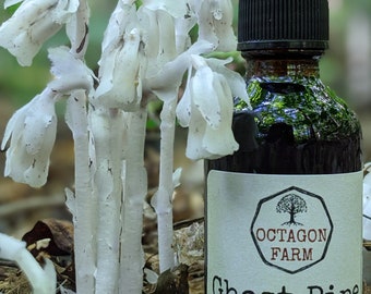Ghost Pipe Tincture Indian Pipe natural extract supplement herb flower free shipping