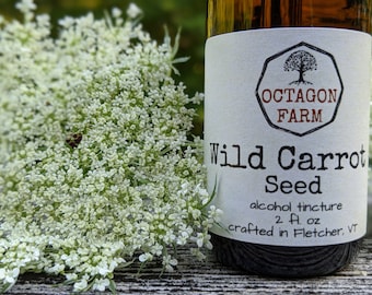Wild Carrot Seed Tincture Queen Anne's Lace extract natural herbal supplement medicinal QAL women dried seeds oil medicine Vermont free ship