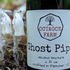 Ghost Pipe Tincture Indian Pipe natural extract supplement herb flower free shipping
