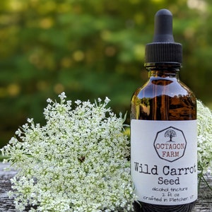 May include: A brown glass bottle with a dropper top, labelled "Wild Carrot Seed" alcohol tincture, 2 fl oz, crafted in Fletcher, VT. The bottle is sitting on a wooden surface with a white flower in the foreground.