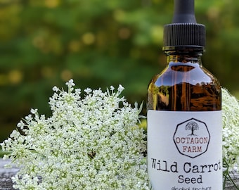Tintura de semillas de zanahoria silvestre, extracto de encaje de la reina Ana, suplemento herbal natural medicinal QAL para mujeres, aceite de semillas secas, medicina de Vermont, envío gratis