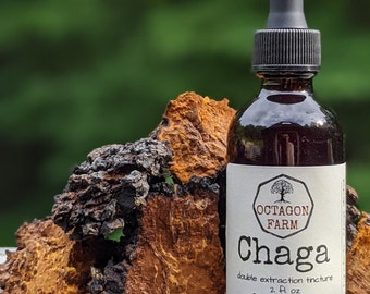 Chaga Tincture double extraction wild harvested fungus extract medicinal mushroom herbal supplement natural tea powder free shipping