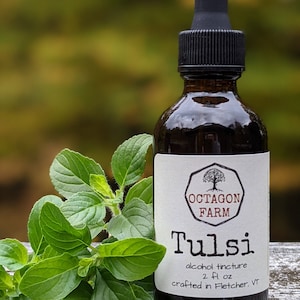 May include: A brown glass bottle with a black dropper top and a white label. The label says "Octagon Farm Tulsi alcohol tincture 2 fl oz crafted in Fletcher, VT". The bottle is sitting on a wooden surface with green leaves.
